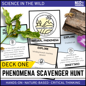 Phenomena Science Scavenger Hunt Cards