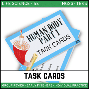 Human Body: Part 2 - Task Cards