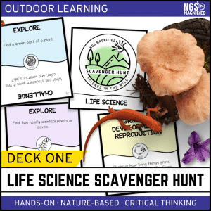 Life Science Scavenger Hunt - Outdoor Learning