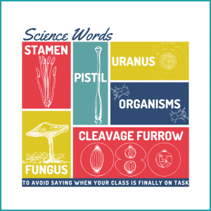 Science Terms to Avoid