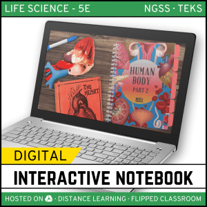Human Body Part 2 Digital Interactive Notebook