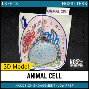 Animal Cell - 3D Model
