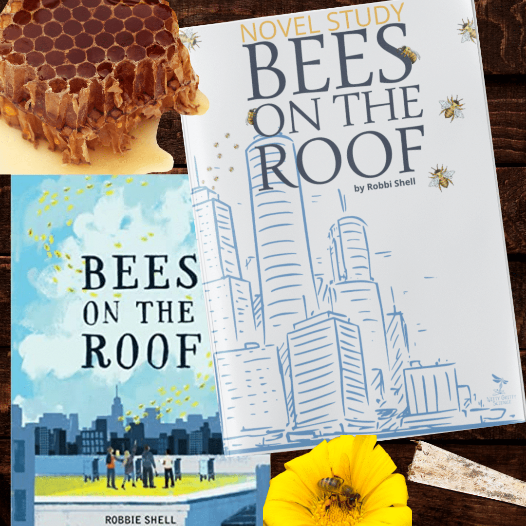 Bees On The Roof
