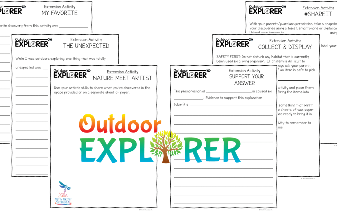 Extension Activities Preview | NGS Magnified