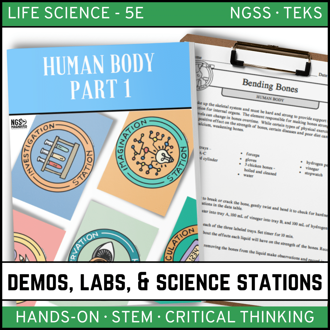 Human Body Part 1 - Demos, Labs and Science Stations