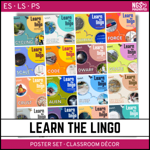 Learn the Lingo Poster Set
