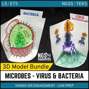 Microbe Bundle - 3D Models