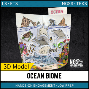 Ocean Biome Model - 3D Model - Biome Project
