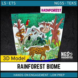 Rainforest Biome Model - 3D Model - Biome Project