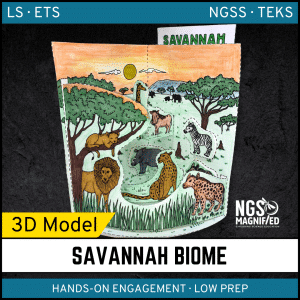 Savannah Biome Model - 3D Model - Biome Project