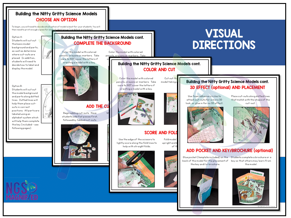 Animal Cell - 3D Model - Image 4