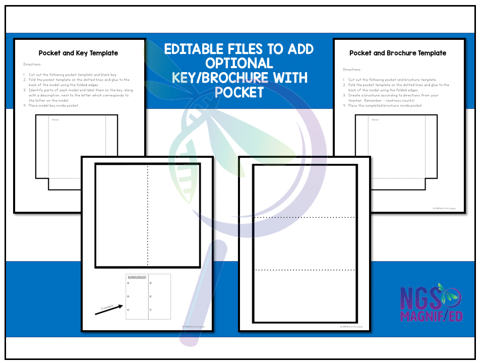 Ocean Biome Model - 3D Model - Biome Project - Image 6