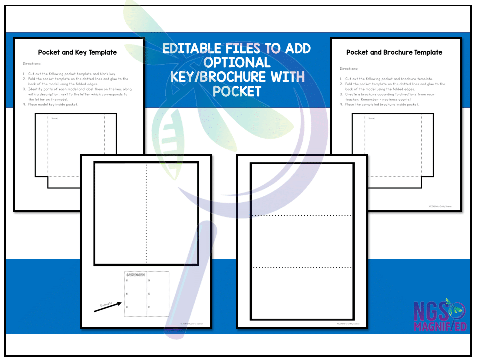 Animal Cell - 3D Model - Image 5