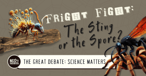 Which Parasite Reigns Supreme?