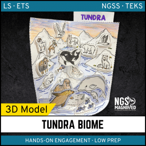 Tundra Biome Model - 3D Model - Biome Project